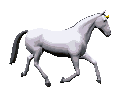 horse1501559.gif
